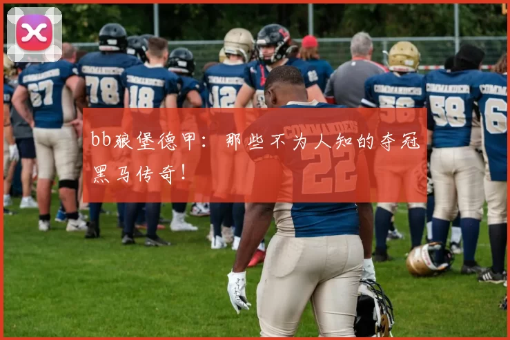 bb狼堡德甲：那些不为人知的夺冠黑马传奇！