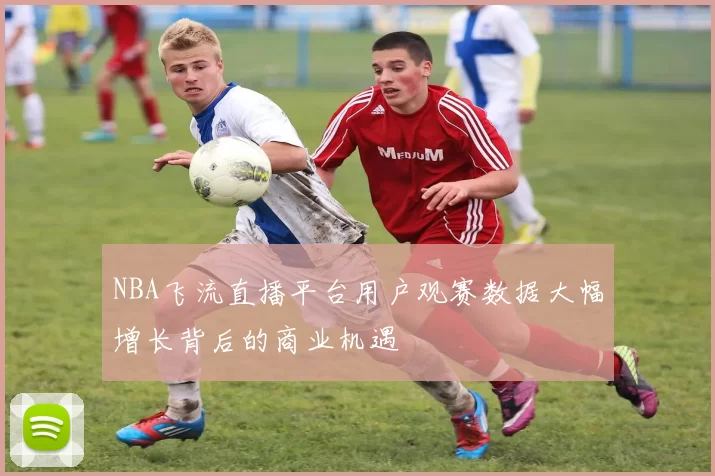 NBA飞流直播平台用户观赛数据大幅增长背后的商业机遇