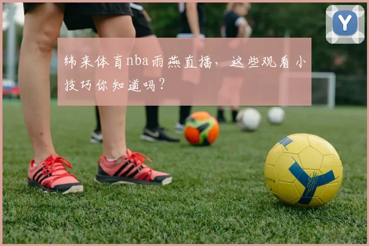 纬来体育nba雨燕直播，这些观看小技巧你知道吗？