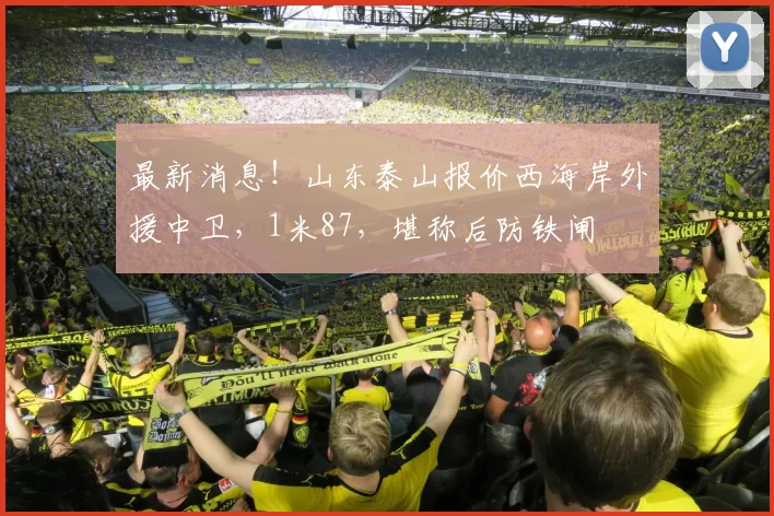 最新消息!山东泰山报价西海岸外援中卫,1米87,堪称后防铁闸