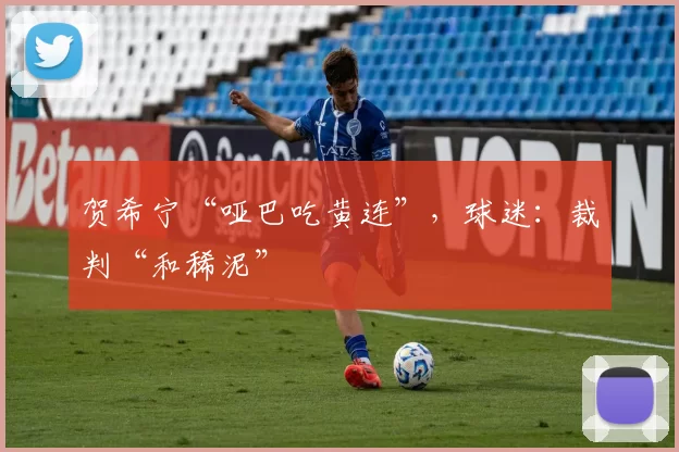 贺希宁“哑巴吃黄连”，球迷：裁判“和稀泥”