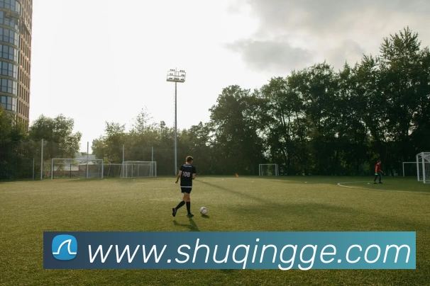 多媒体互动体验